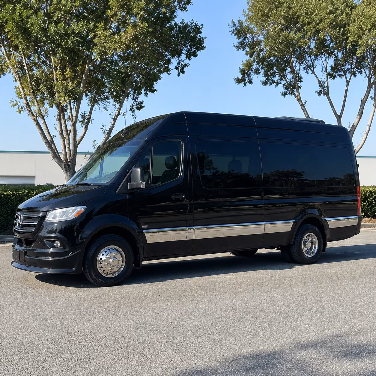 long beach family reunion sprinter van rentals for multi generational gatherings